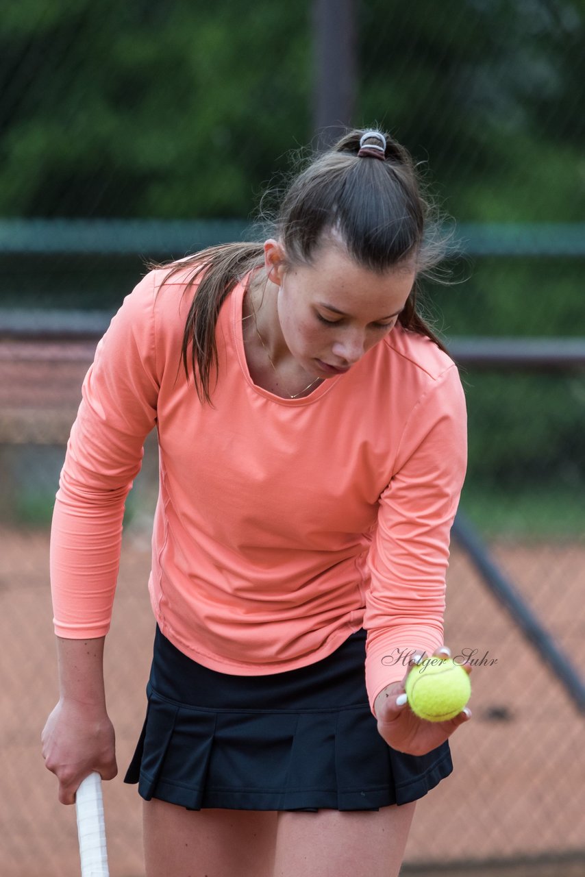 Bild 165 - NL VfL Westercelle - SVE Wiefelstede : Ergebnis: 8:1